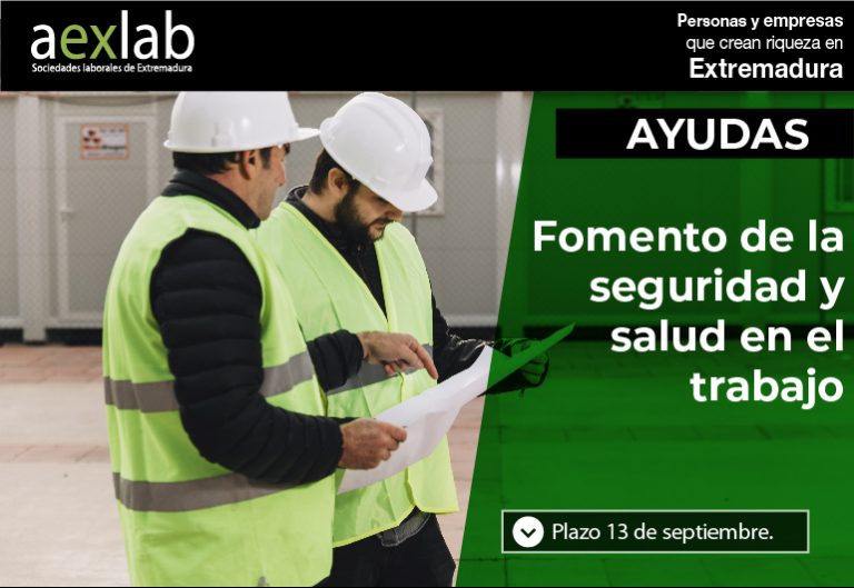 ayudas para el fomento de la seguridad y la salud en el trabajo